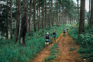 BIB: 
                            <button type="button" onclick="openModal(25659732)" class="btn btn-primary btn-sm float-right btn-popup" data-toggle="modal" data-target=".modal-high-quality">
                        <i class="fas fa-shopping-cart"></i> Add to Cart
                    </button>
                                            <button type="button" onclick="isThisMe(25659732, true)" class="btn btn-success btn-sm float-right btn-popup btn-isme hidden" data-toggle="tooltip" data-placement="bottom" title="นี่คือรูปของคุณใช่ไหม คลิกที่นี่เพื่อเอาเข้าอัลบั้ม">
                        <i class="fas fa-plus"></i> Add to album
                    </button>
                    <button type="button" onclick="isThisMe(25659732, false)" class="btn btn-warning btn-sm float-right btn-popup btn-isnotme hidden">
                        <i class="fas fa-ban"></i> Remove from album
                    </button>